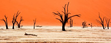 Deadvlei, Namibya 'daki Namib-Naukluft Parkı' nın içindeki Sossusvlei 'nin daha ünlü tuz tepsisi yakınlarında bulunan bir tavadır. Ayrıca Deadvlei ya da Dead Vlei olarak da bilinir, adı 