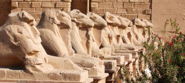 LUXOR EGYPT 11 22 22 2008: Karnak tapınağında koç başlarının yanı sıra tanrıça ve koç başlı sfenkslerin çeşitli caddelerinde salıncak 