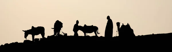 Saqqarah Egito Silhueta Beduínos Deserto Com Seus Animais — Fotografia de Stock