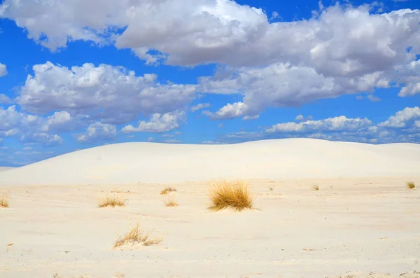 White Sands National Monument Розташований Штаті Нью Мексико Поле Білих — стокове фото