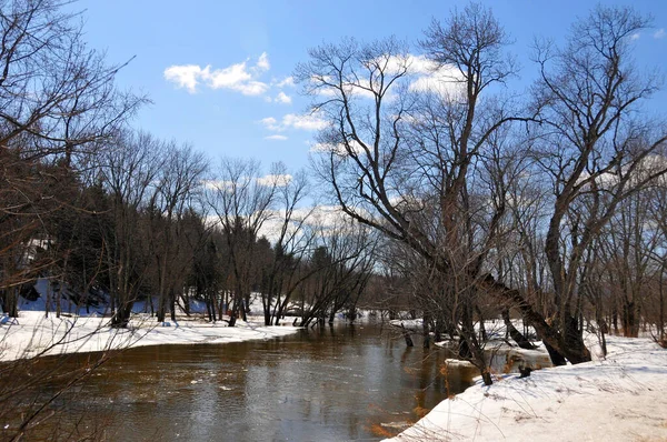 Paisaje Invernal Con Árboles Cubiertos Nieve —  Fotos de Stock