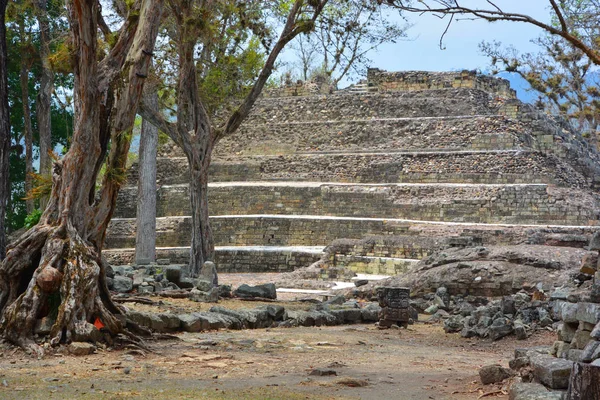 Copan Honduras Cancha Baile Copan Sitio Arqueológico Civilización Maya Ubicado — Foto de Stock