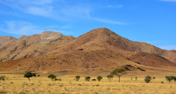 Vista Del Desierto Namibia África —  Fotos de Stock