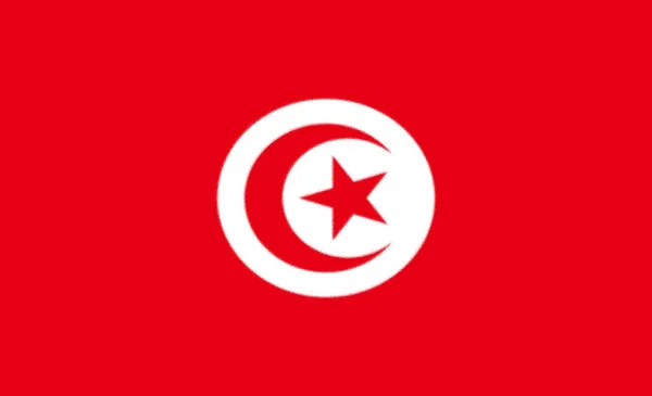 Flaga Tunezji Jest Oficjalnie Suwerennym Państwem Afryce Północno Zachodniej Ilustracja — Zdjęcie stockowe