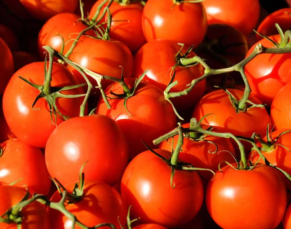 Oberseite Textur Der Roten Tomaten Schachtel Gelegt Bereit Auf Dem — Stockfoto