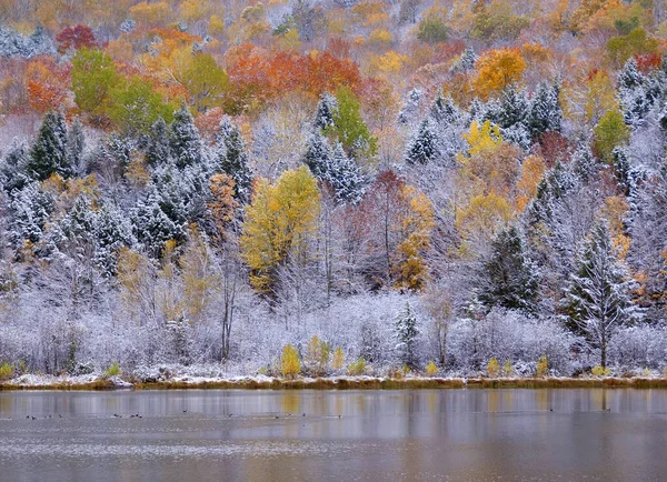 Paisaje Finales Otoño Bromont Municipio Del Este Quebec Canadá —  Fotos de Stock