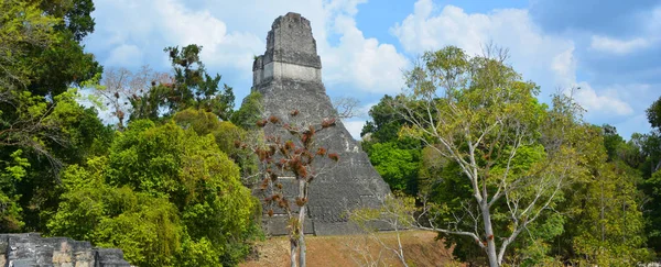 Tikal Guatemala Maio 2016 Sítio Arqueológico Civilização Maia Pré Colombiana — Fotografia de Stock