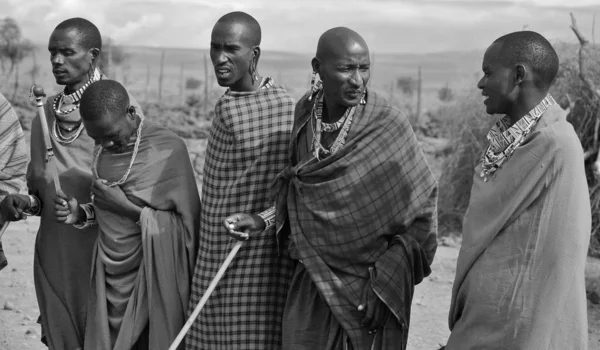 Amboseli Kenia Octubre Los Africanos Identificados Tribu Masai Preparan Para —  Fotos de Stock