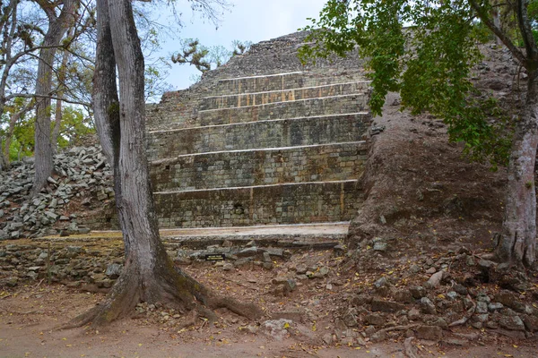Tikal Guatemala Mayo 2016 Sitio Arqueológico Civilización Maya Precolombina Parque — Foto de Stock