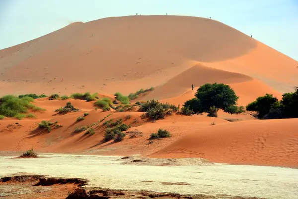Піщані Дюни Пустелі Намібії — стокове фото