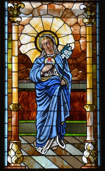 Charlotte 2016 Скляне Вікно Святого Петра Найстарішою Римо Католицькою Церквою — стокове фото