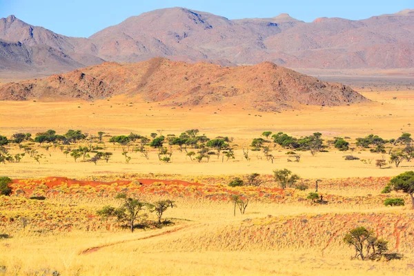 Krajobraz Parku Narodowego Namib Naukluft Jest Parkiem Narodowym Namibii Obejmującym — Zdjęcie stockowe