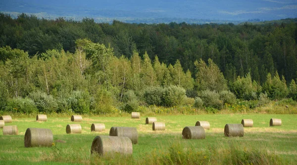 Summer landscape Quebec Province Canada