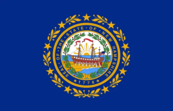 New Hampshire State Flag Shaped Heart Verenigde Staten Amerika Amerikaanse — Stockfoto