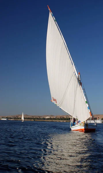 Aswan Egypt Nov Фелуккккські Вітрила Річці Ніл Поблизу Асуану Єгипет — стокове фото