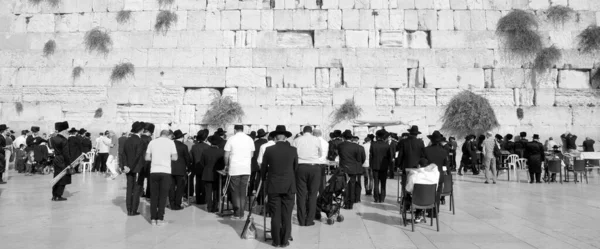 Jerusalén Israel Los Judíos Rezan Muro Occidental Muro Plaza Del — Foto de Stock