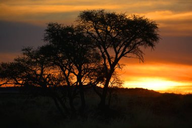 Güzel çölde gün batımı, Namibya 