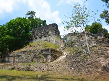 TIKAL, GUATEMALA MAYIS 03 2016: Guatemala Tikal Ulusal Parkı 'ndaki Kolomb öncesi Maya uygarlığının arkeolojik alanı 1979' dan beri UNESCO Dünya Mirası Alanı 'dır.