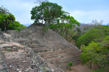 TIKAL, GUATEMALA MAYIS 03 2016: Guatemala Tikal Ulusal Parkı 'ndaki Kolomb öncesi Maya uygarlığının arkeolojik alanı 1979' dan beri UNESCO Dünya Mirası Alanı 'dır.