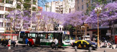 BUENOS ARGENTINA 11 25 2011: Taksi ve Buenos Aires otobüsü, Güney Amerika 'nın en büyük ikinci metropoliten alanıdır..