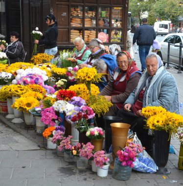 LVIV UKRAINE 09 09: 17: Yaşlı kadın babuşka, Lviv Ukrayna 'nın eski şehir merkezindeki pazarda yaşamak için çiçek satıyor.