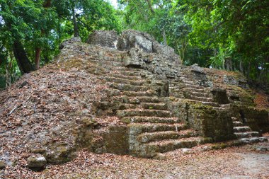 TIKAL, GUATEMALA MAYIS 03 2016: Guatemala Tikal Ulusal Parkı 'ndaki Kolomb öncesi Maya uygarlığının arkeolojik alanı 1979' dan beri UNESCO Dünya Mirası Alanı 'dır.