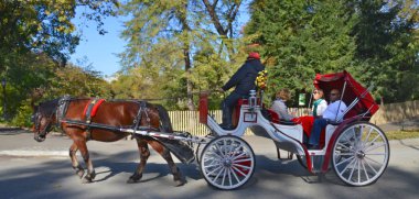 NEW YORK CITY USA OCT 27: Horse carriage rider in Central Park, on ocotber 27 2013 in New York City. Horse-Drawn Carriages are a wonderful way to experience the beauty of the Central Park.