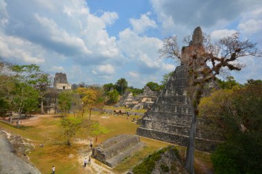 TIKAL, GUATEMALA MAYIS 03 2016: Guatemala Tikal Ulusal Parkı 'ndaki Kolomb öncesi Maya uygarlığının arkeolojik alanı 1979' dan beri UNESCO Dünya Mirası Alanı 'dır.
