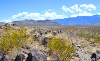 Petroglyph Ulusal Anıtı, Kuzey Amerika 'nın en büyük petrol sahalarından birini korur. Kuzeybatı köşesinden başlayan Butte volkanı güneyinde ise Vulcan, Black ve JA volkanları bulunur.