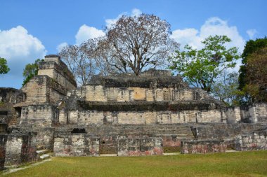 TIKAL, GUATEMALA MAYIS 03 2016: Guatemala Tikal Ulusal Parkı 'ndaki Kolomb öncesi Maya uygarlığının arkeolojik alanı 1979' dan beri UNESCO Dünya Mirası Alanı 'dır.