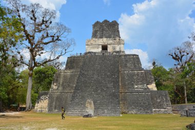 TIKAL, GUATEMALA MAYIS 03 2016: Guatemala Tikal Ulusal Parkı 'ndaki Kolomb öncesi Maya uygarlığının arkeolojik alanı 1979' dan beri UNESCO Dünya Mirası Alanı 'dır.