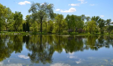 Kanada 'nın Quebec eyaletinde bahar manzarası