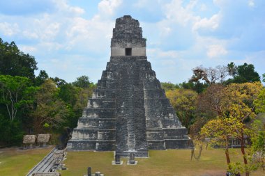 TIKAL, GUATEMALA MAYIS 03 2016: Guatemala Tikal Ulusal Parkı 'ndaki Kolomb öncesi Maya uygarlığının arkeolojik alanı 1979' dan beri UNESCO Dünya Mirası Alanı 'dır.