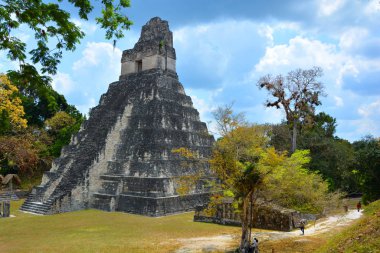 TIKAL, GUATEMALA MAYIS 03 2016: Guatemala Tikal Ulusal Parkı 'ndaki Kolomb öncesi Maya uygarlığının arkeolojik alanı 1979' dan beri UNESCO Dünya Mirası Alanı 'dır.