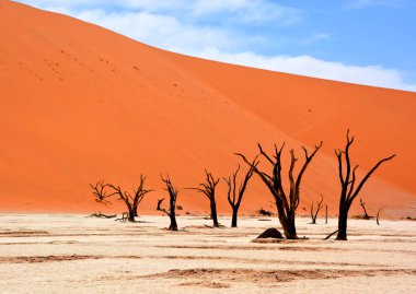 Deadvlei, Namibya 'daki Namib-Naukluft Parkı' nın içindeki Sossusvlei 'nin daha ünlü tuz tepsisi yakınlarında bulunan bir tavadır. Ayrıca Deadvlei ya da Dead Vlei olarak da bilinir, adı 