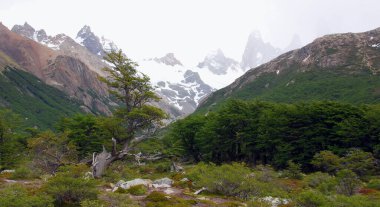 Ulusal Park Los Glaciares, Patagonya 'daki Monte Fitz Roy dağının manzarası Arjantin ve Şili sınırında. Güney Patagonya Buz Sahası 'nda, El Chalten Köyü yakınlarında yer almaktadır.