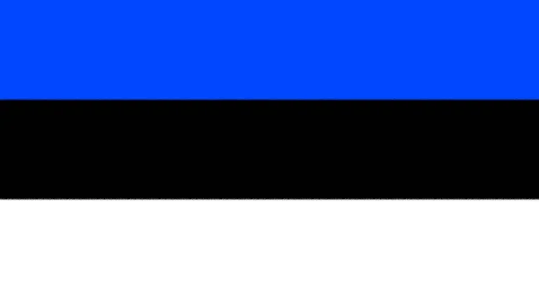 Textura Fondo Bandera Estonia — Foto de Stock