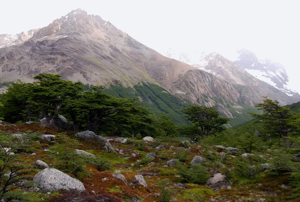 Paisagem Montanha Monte Fitz Roy Parque Nacional Los Glaciares Patagônia — Fotografia de Stock
