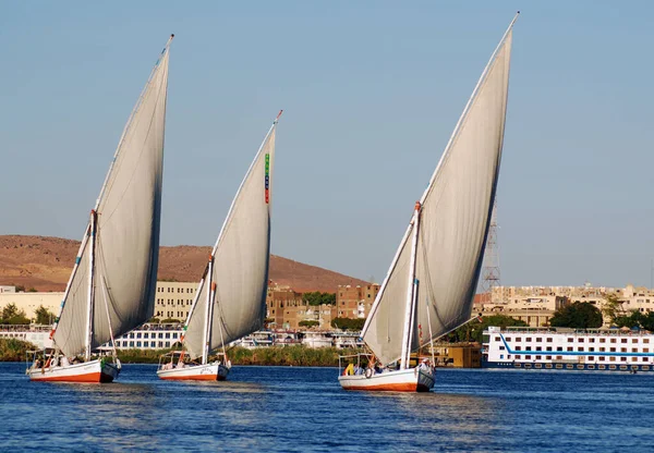 Aswan Egypt Nov Фелуккккські Вітрила Річці Ніл Поблизу Асуану Єгипет — стокове фото