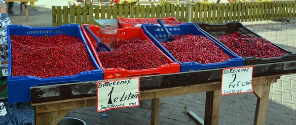 시장크랜 Riga Market Cranberries 바키니 Vaccinium Oxycoccus 상록수 뒤따르는 덩굴의 — 스톡 사진