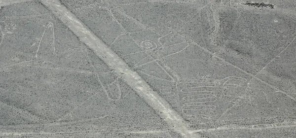 Linhas Baleia Nazca São Uma Série Grandes Geoglifos Antigos Deserto — Fotografia de Stock