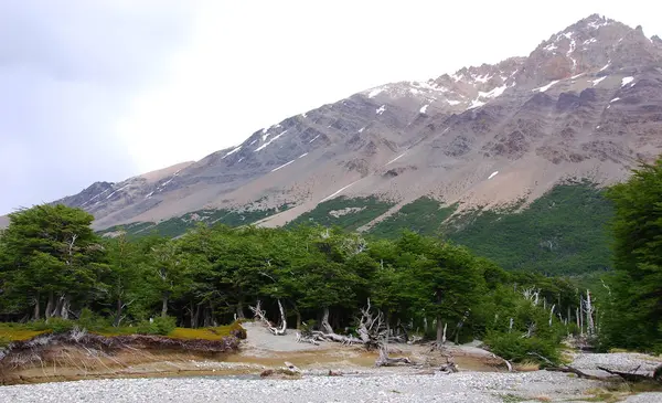 글레이셔스 Los Glaciares 피츠로 아르헨티나와 칠레의 국경에 파타고니아 근처에 파타고니아 — 스톡 사진