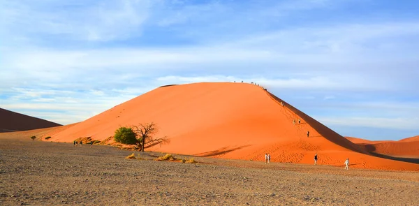 Hermoso Paisaje Desierto Namibia — Foto de Stock