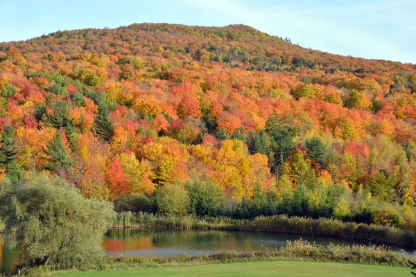 カナダ ケベック州ブロモントの秋の風景道路東町 — ストック写真