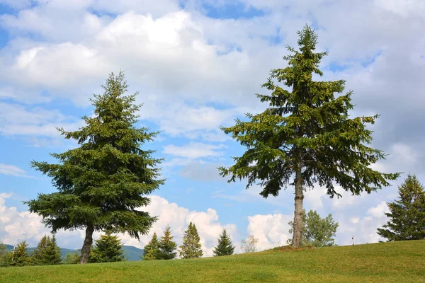 Paesaggio Estivo Quebec Province Canada — Foto Stock