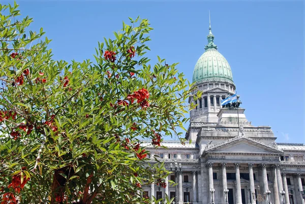 Buenos Aires Argentina Novembro Congresso Plaza Argentina Buenos Aires Argentina — Fotografia de Stock