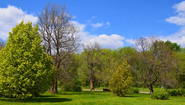 Paesaggio Primaverile Provincia Quebec Canada — Foto Stock