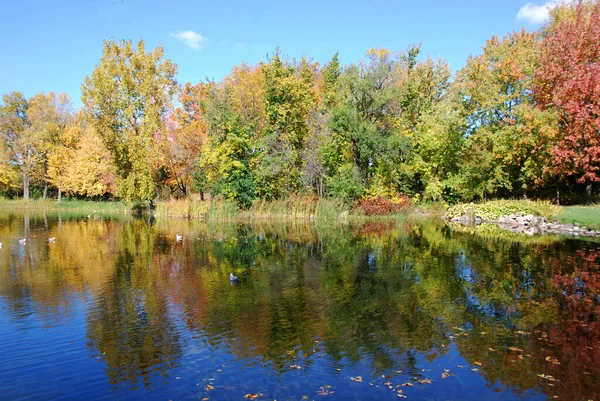 Blick Auf Die Herbstlandschaft Mit Flüssen Und Bäumen Bei Sonnigem — Stockfoto