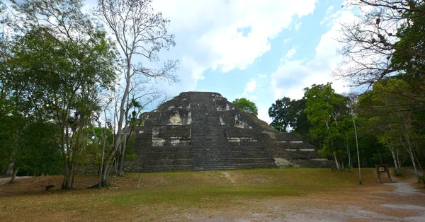 Tikal Guatemala Mai 2016 Die Archäologische Stätte Der Präkolumbianischen Maya — Stockfoto