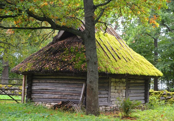 Puhalepa Parish Hiiumaa Estonia 2015 Old Cottage Cum Threshing Barnon — стокове фото